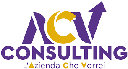 ACV CONSULTING S.R.L.