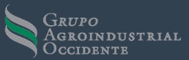 GAO CORP