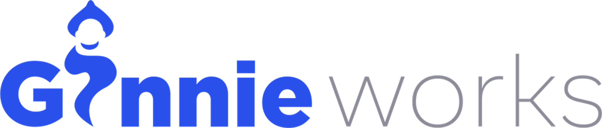 GINNIEWORKS INC