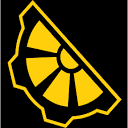 DART FROG TECHNOLOGY AND SERVICES PRIVATE LIMITED