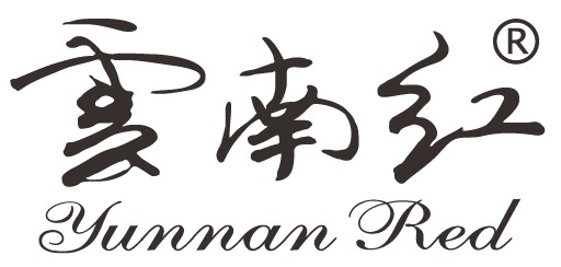 Southern Cloud Brands Limited