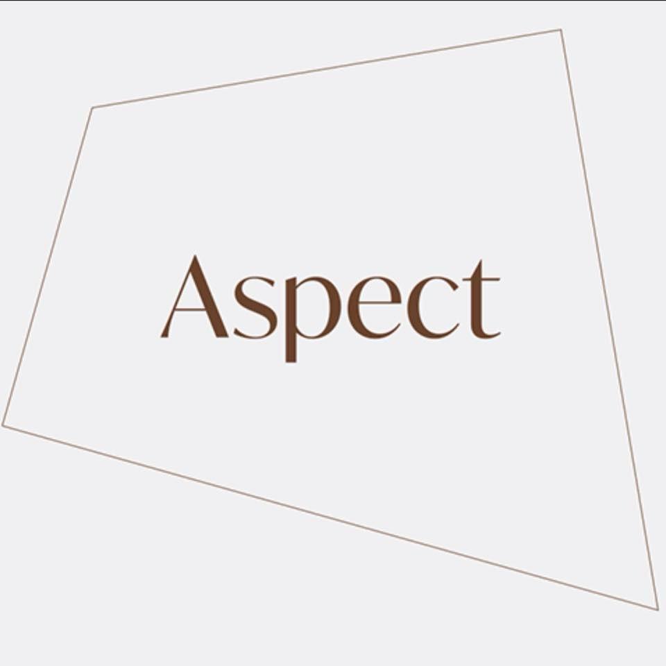Aspect Developments