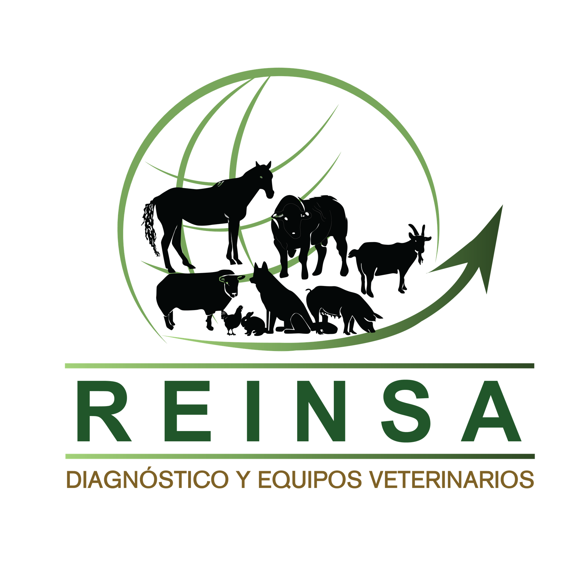 Representaciones Internacionales y Nacionales S.A.