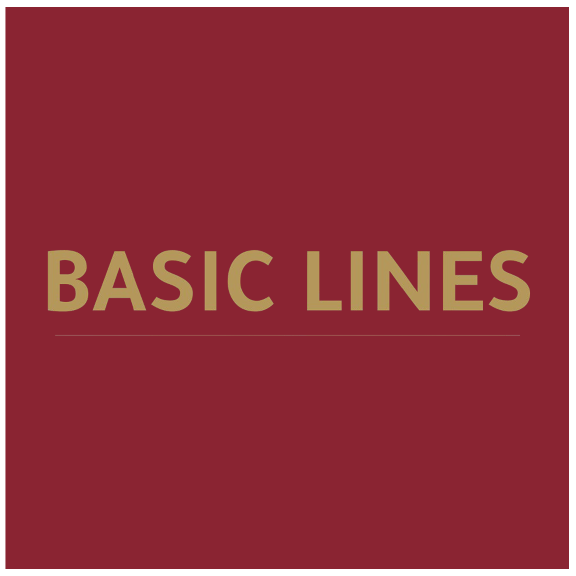 Basic Lines For Consulting Services