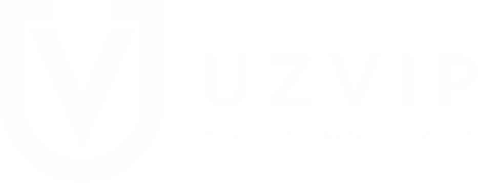UzVip Trans Service LLC
