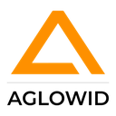 Aglowid IT Solutions INC