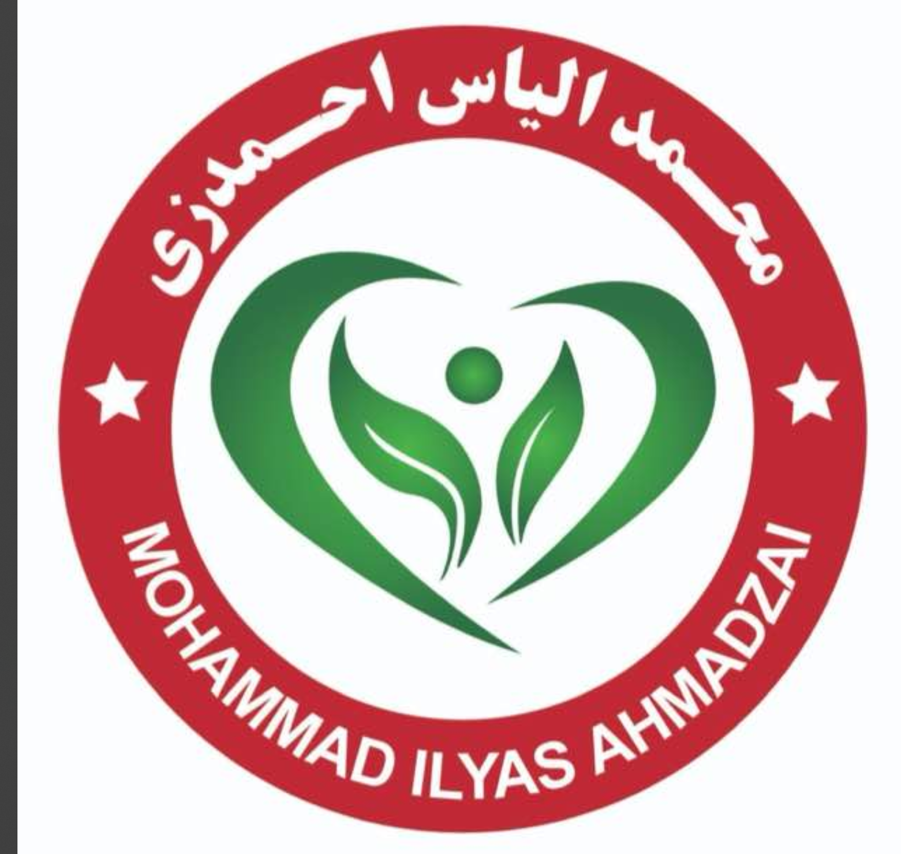 Mohammad Ilyas Ahmadzai Trading Company, MOHAMMAD ILYAS AHMADZAI TRADING COMPANY