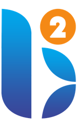 Binary Bridge Technology Services