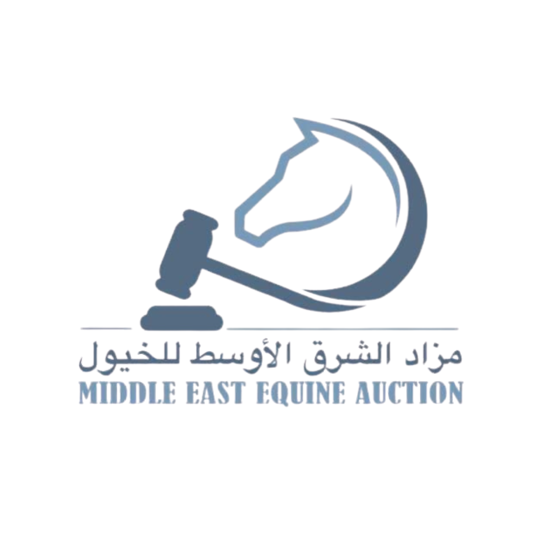 Middle East Equine Auction