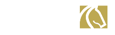 شركة الصافنات للنقل التعليمي