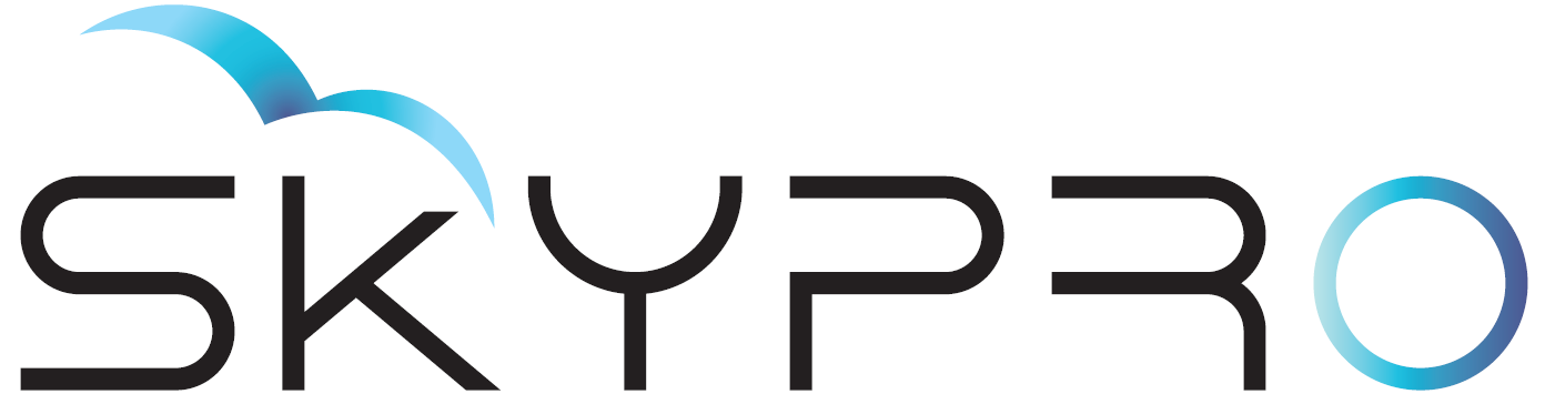 SKYPRO BUSINESSMEN ADMINISTRATIVE SERVICES L.L.C