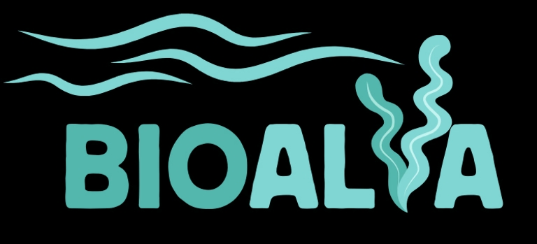 LOCALVERSE