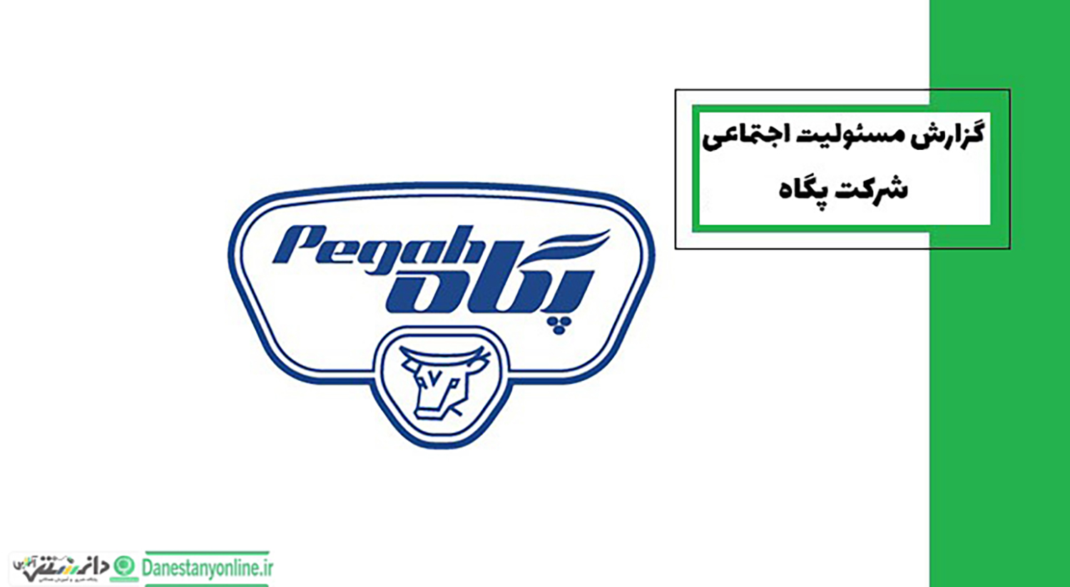 Pegah Naroie Ltd
