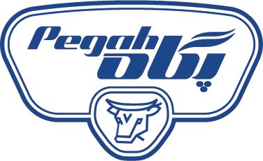 Pegah Naroie Ltd