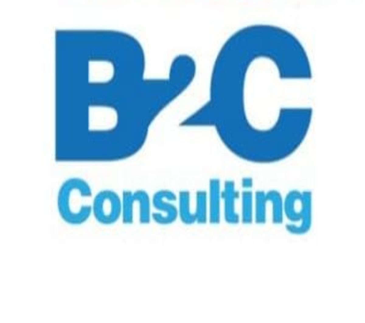 B2C CONSULTING SAC