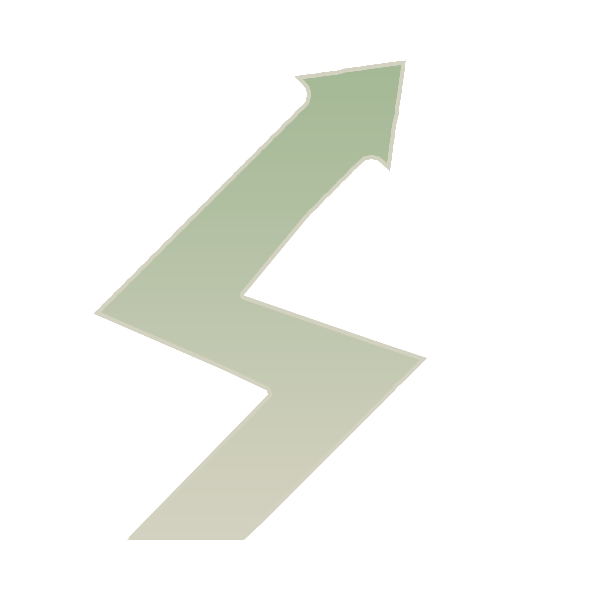 SURJCOM LLC