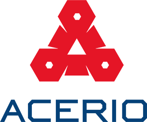 ACERIO GROUP SPÓŁKA Z OGRANICZONĄ ODPOWIEDZIALNOŚCIĄ