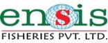 Ensis Group of Companies