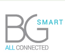 BGS Technical Service LLC