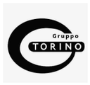 Grupo Torino