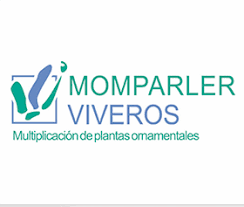 MOMCOR ESQUEJADOS SL