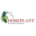 Domiplant