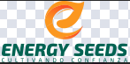 Energy Seeds