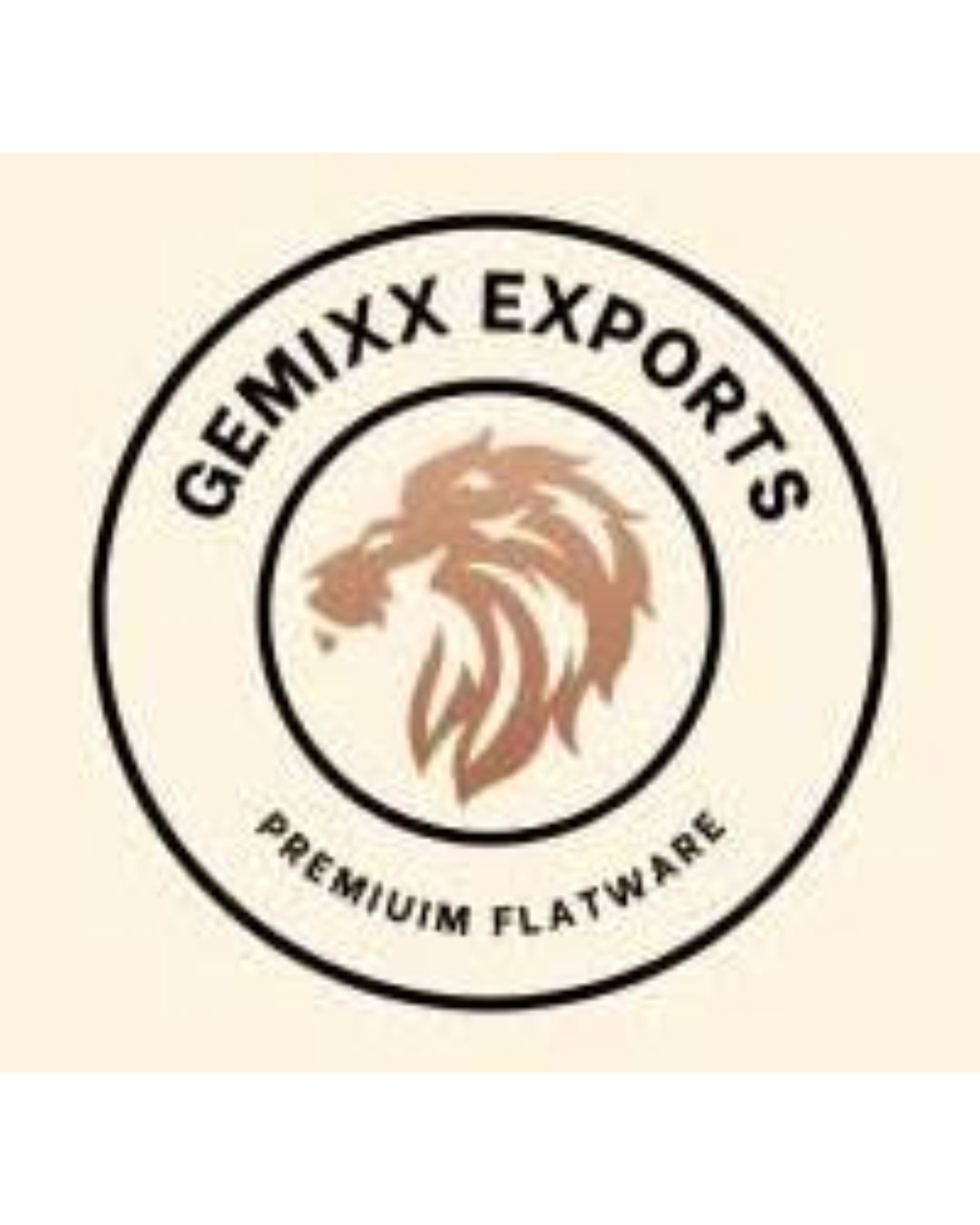 Gemixx PVT LTD, Aaditya Dargar