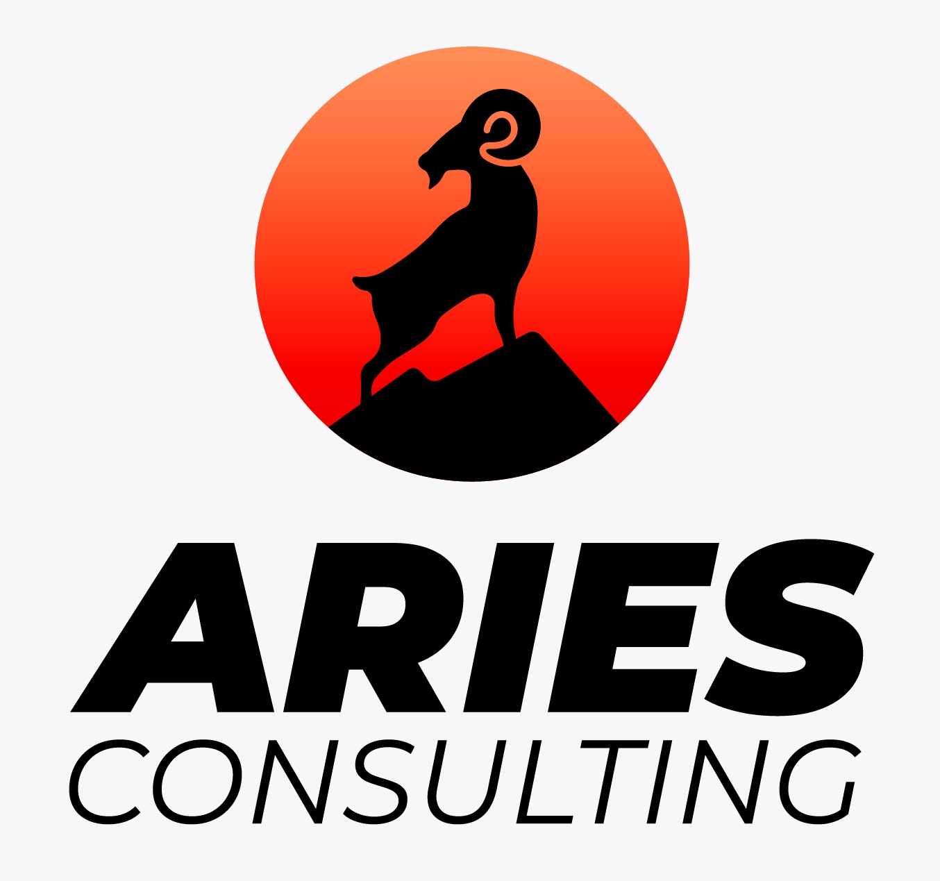 Aries Consulting