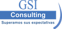 GSI Consulting S.A.S.