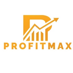 Profitmax Accountants and Tax Consultants FZE LLC