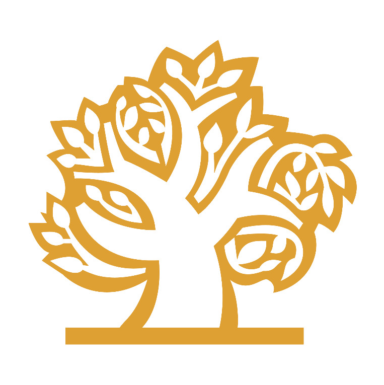 ASOCIACION ARAGONESA PARA LA INVESTIGACION PSIQUICA DEL NIÑO Y EL ADOLESCENTE