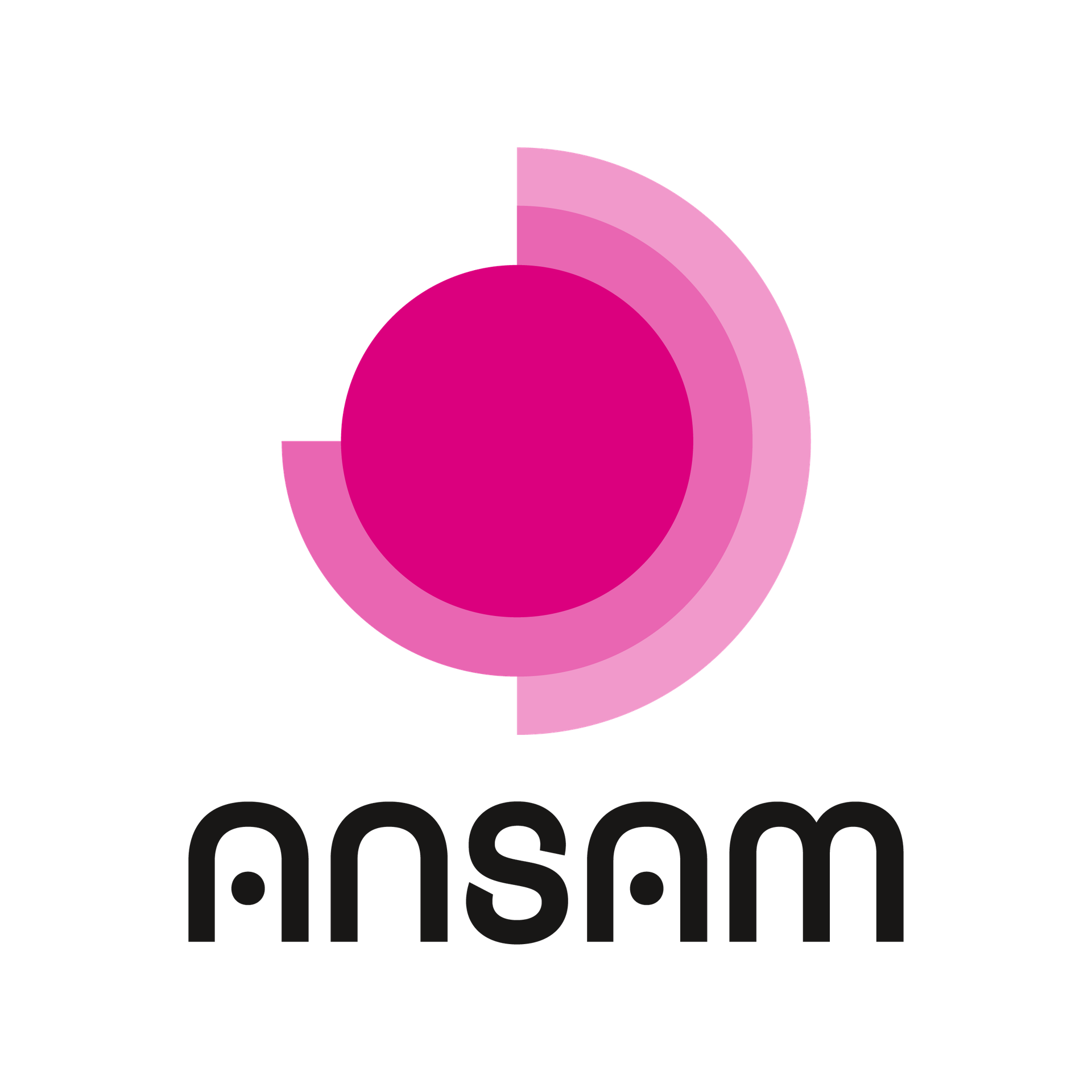 Ansam Holding SA