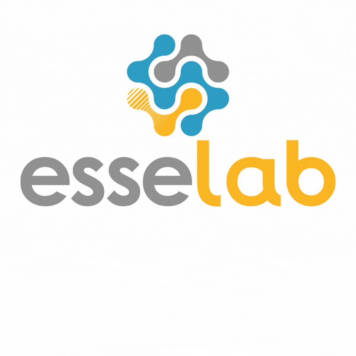 EsseLab GmbH