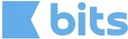 BITS IT SOLUTIONS L.L.C