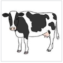 Kaeyes Dairy products