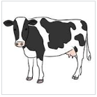 Kaeyes Dairy products