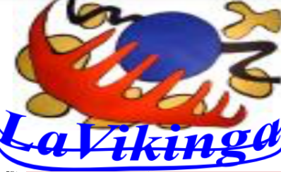 Distribuidora La Vikinga S.A.