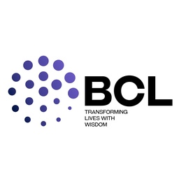 BCL GLOBIZ ACCOUNTING AND CONSULTING L.L.C