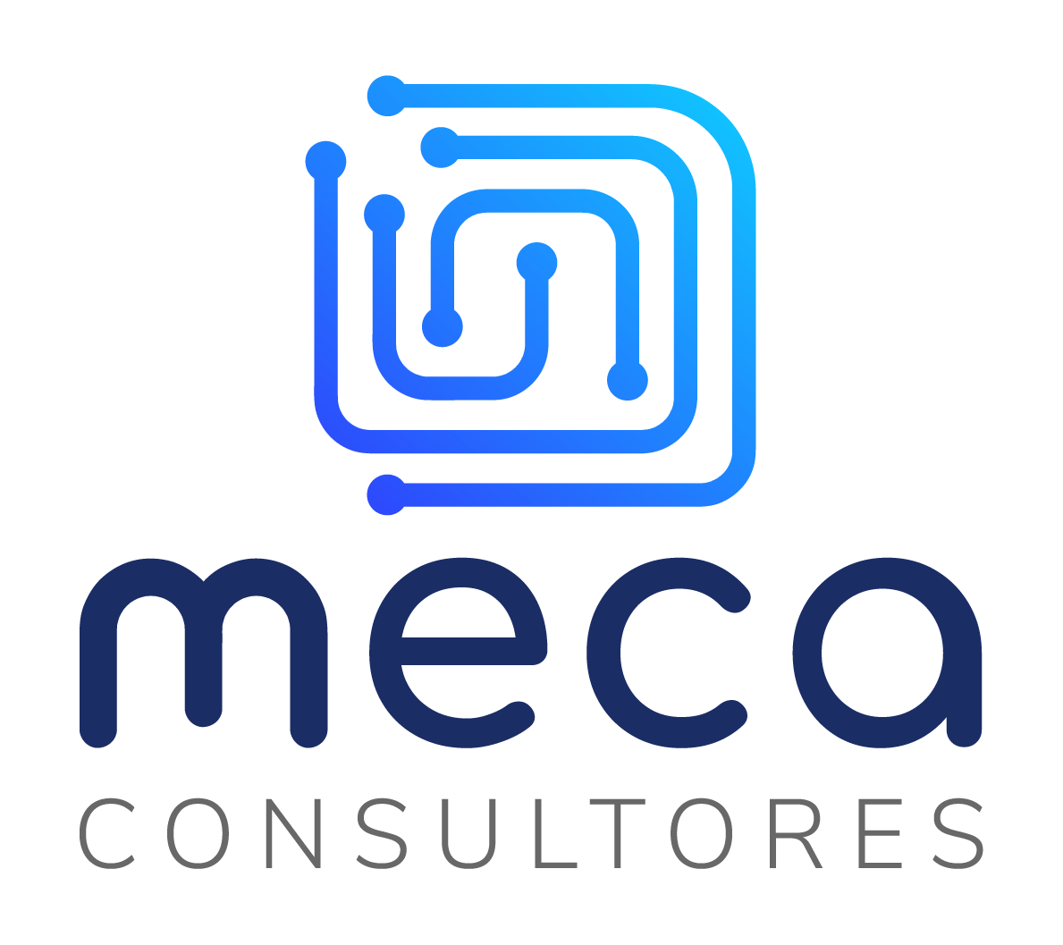 MECA CONSULTORES SAS DE CV