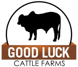 Good Luck Cattle Farms