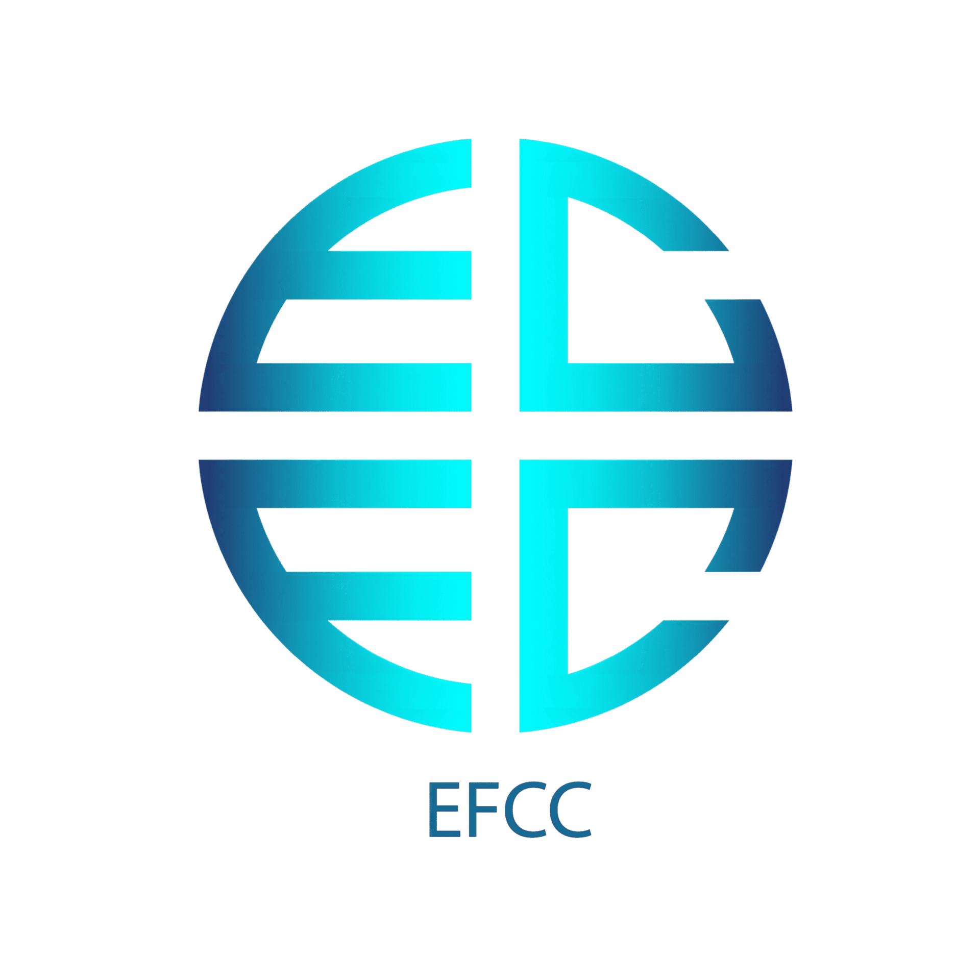 ELEGANT FACADES CONTRACTING CO