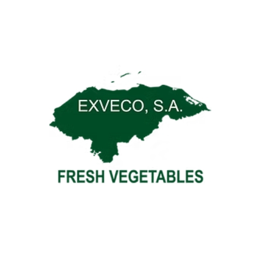 EXVECO S.A.