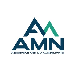 AMN Assurance and Tax Consultants L.L.C