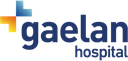 GAELAN MEDICAL CARE ONE DAY SURGERY HOSPITAL LLC - SP
