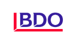 B D O CONSULTING  PRIVATE LIMITED COMPANY