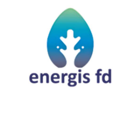 ENERGIS FD
