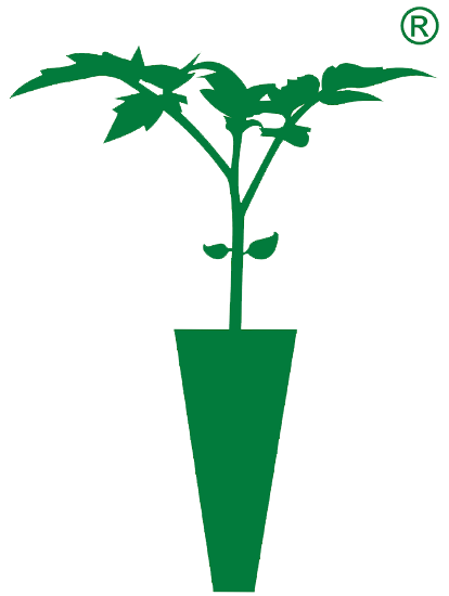 AGROINSUMOS EL FIELD