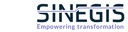 SINEGIS CONSULTING S.L.