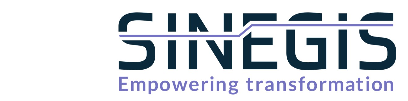 SINEGIS CONSULTING S.L.